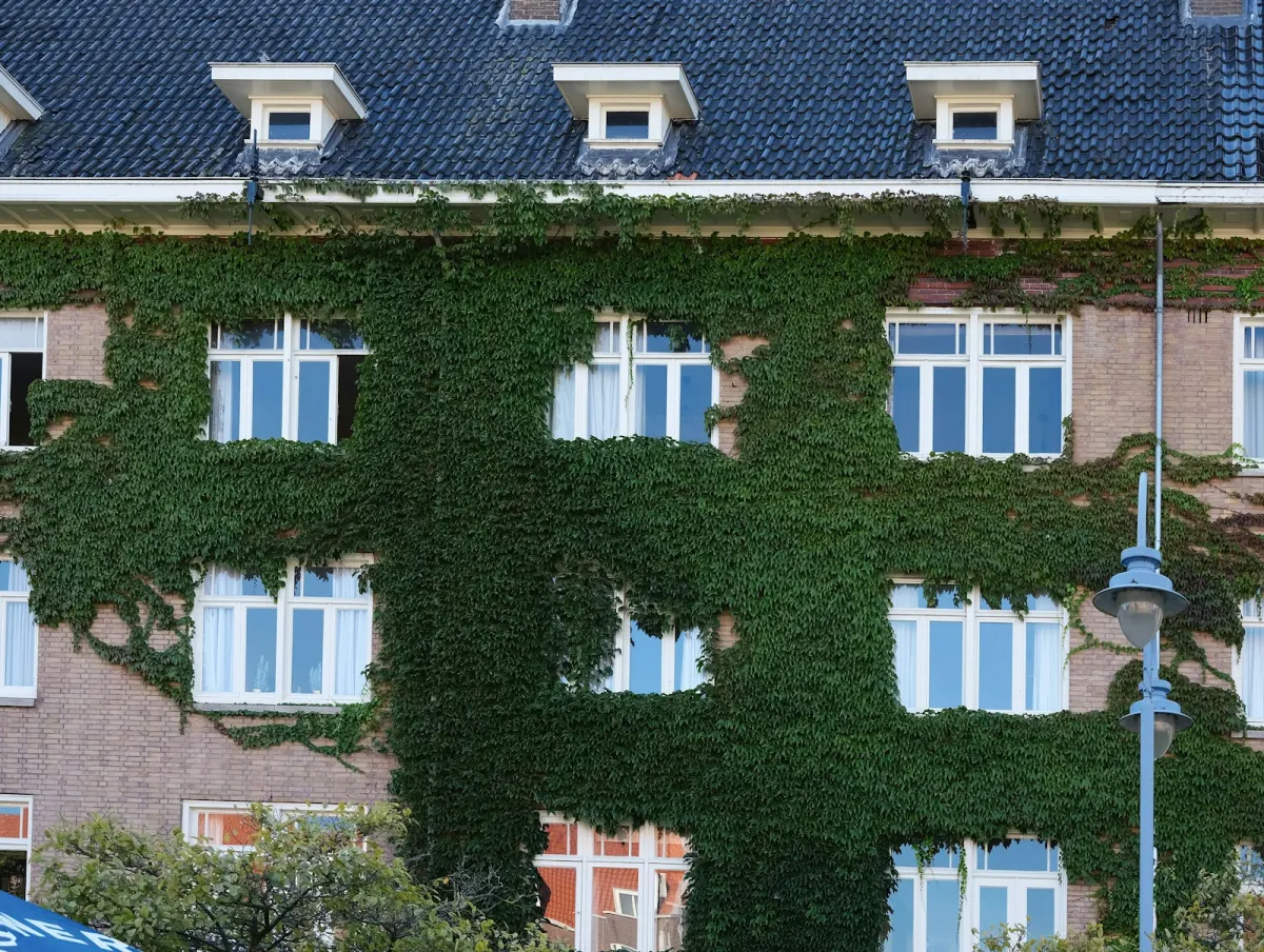 Groene Gevel Amsterdam: Subsidie, Isolatie & VvE