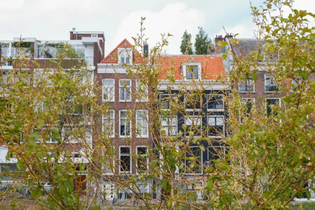 Schimmel na isolatie appartement Amsterdam: oorzaken &